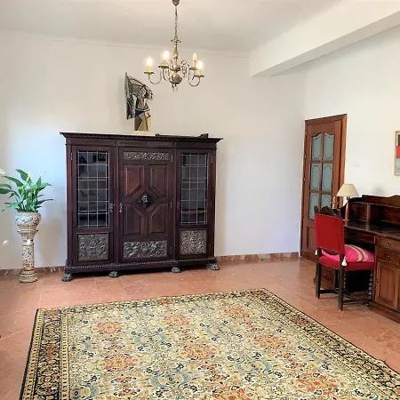 Wide And Traditional- 2bd 1bth- Gavidia Apartment *